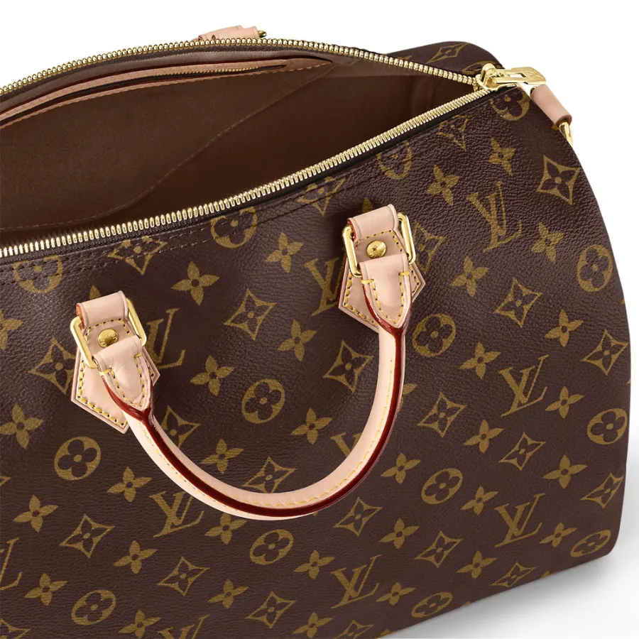Louis Vuitton Bags Speedy