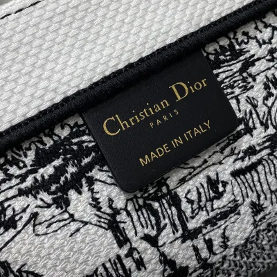 Dior Medium Dior Book Tote White and Black Paris Allover Embroidery