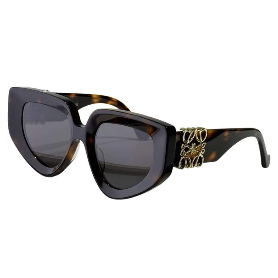 Loewe glasses grey/pink/tawny/leopard black/leopard brown/black silver/black gold/black brown color Size 51口19-145