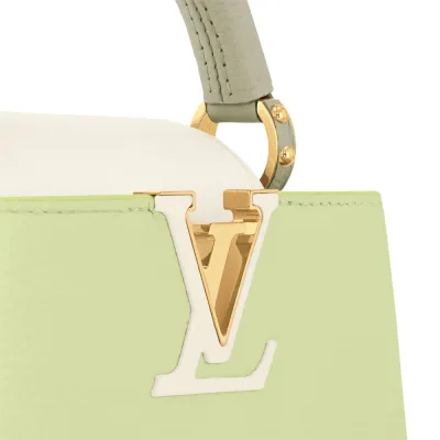 Louis Vuitton Bags Capucines