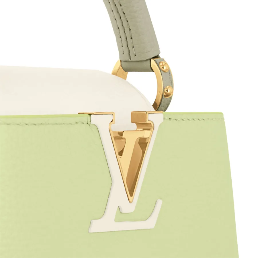 Louis Vuitton Bags Capucines