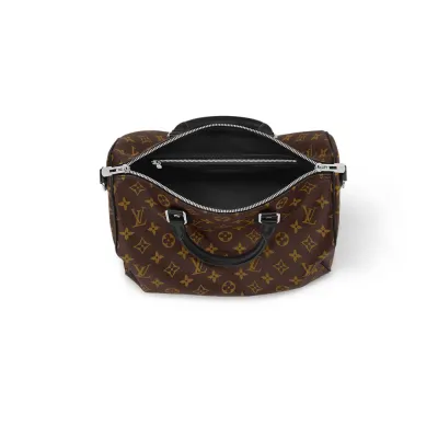 Louis Vuitton Bags Speedy