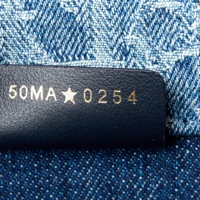 Dior Mini Pouch Navy Blue Oblique Canvas Silver Hardware