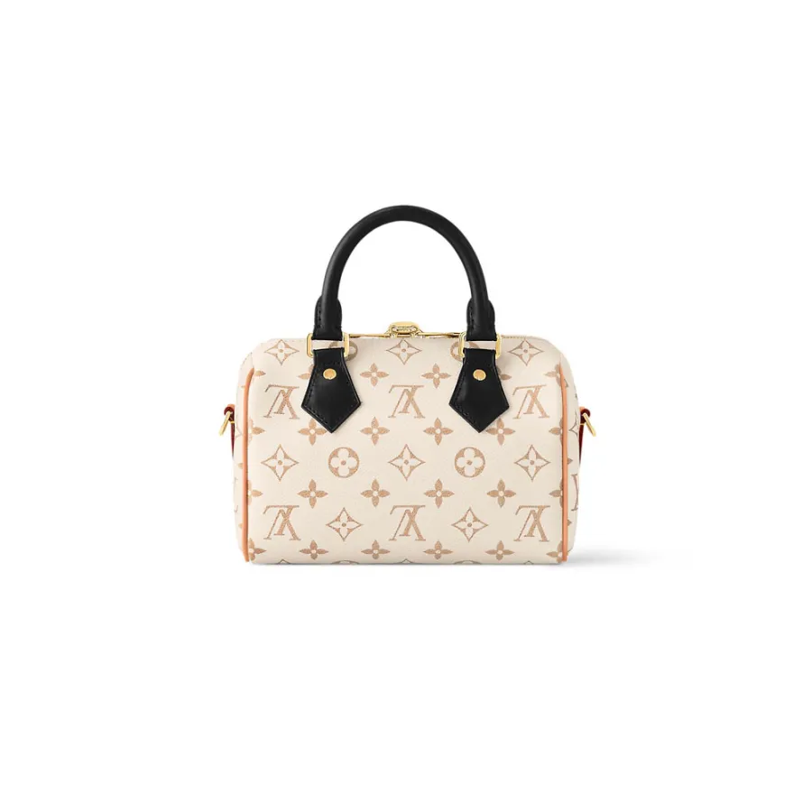 Louis Vuitton Bags Speedy