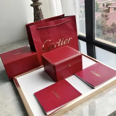 Cartier-Drive-De-Cartier-Ref.WGNM0003-41mm