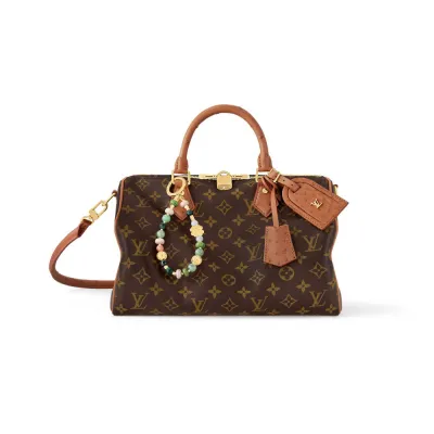 Louis Vuitton Bags Speedy