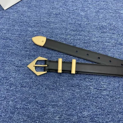 Celine Triangled Buckle Reversible Belt In Brown/Black/Red Calfskin With Gold Hardware 25mm