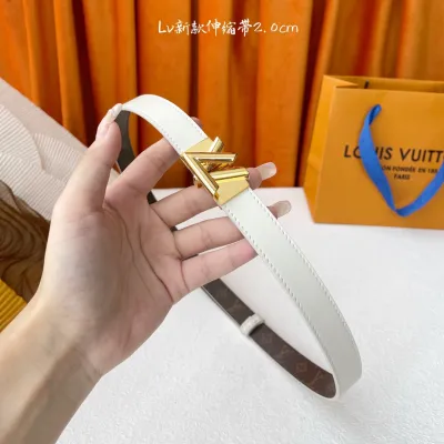 Louis Vuitton Women's GO-14 Adjustable Belt In Black/Brown/White Calfskin And Monogram Canvas With Gold/Silver Hardware 20mm