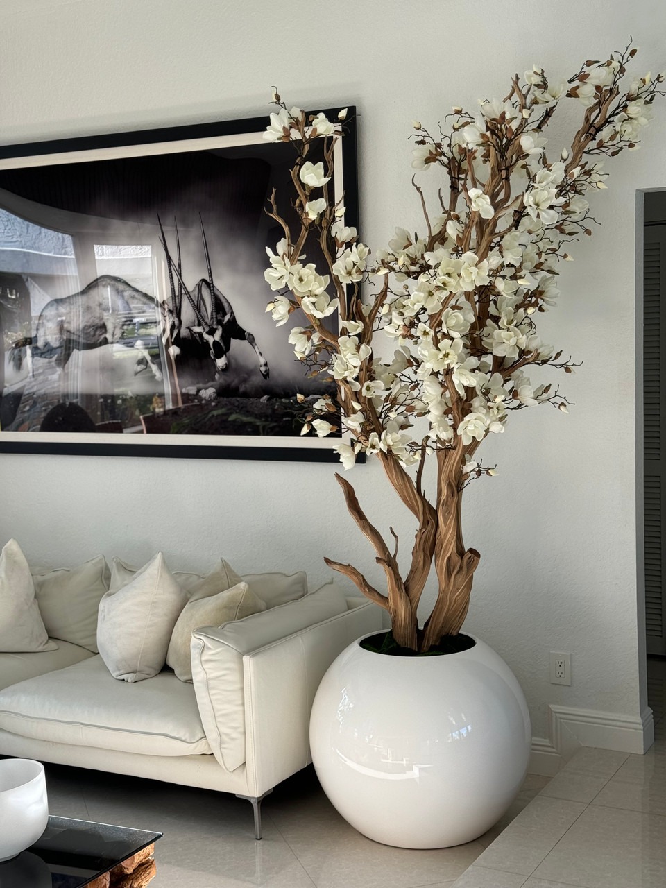 White magnolia in a glossy white globe vase, 76 cm (30