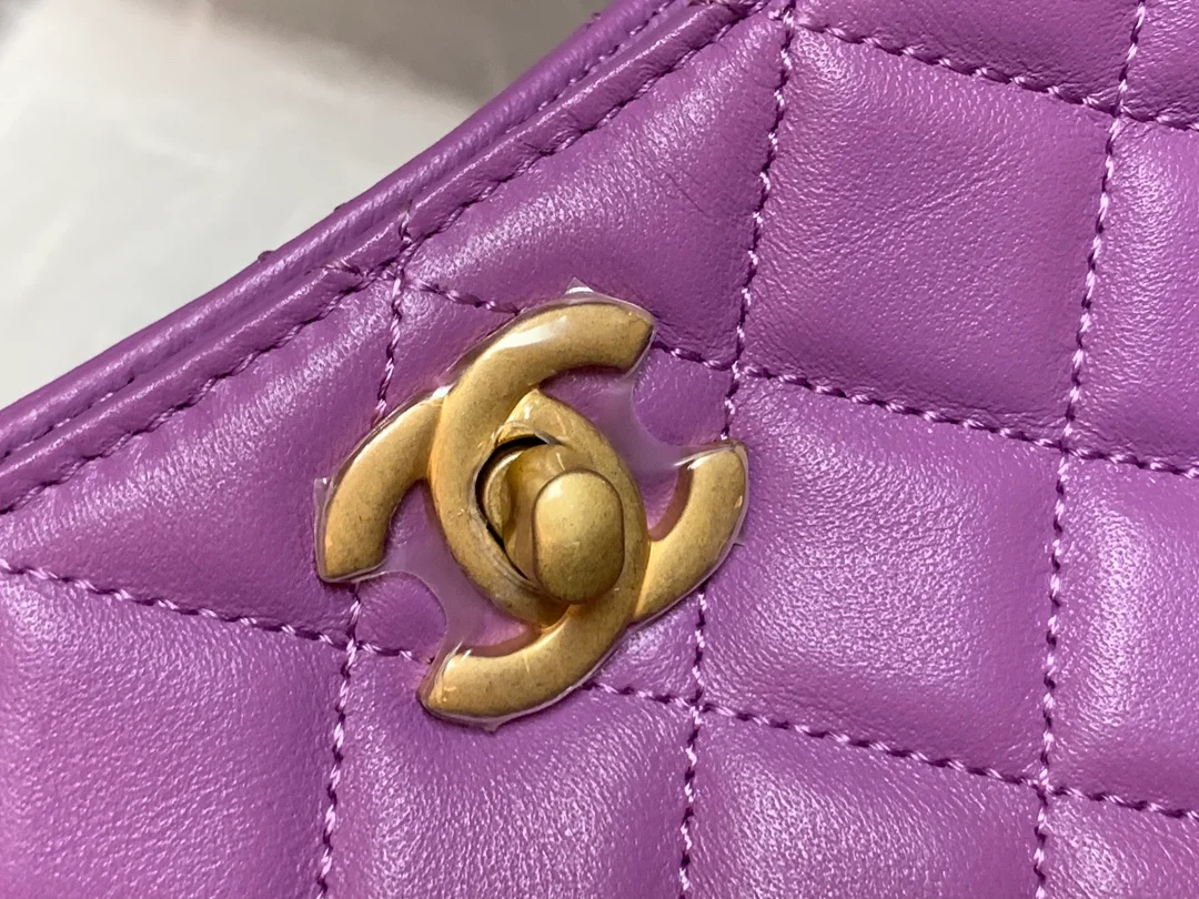 Chanel Hobo Handbag Purple Bag For Women 16cm/6in