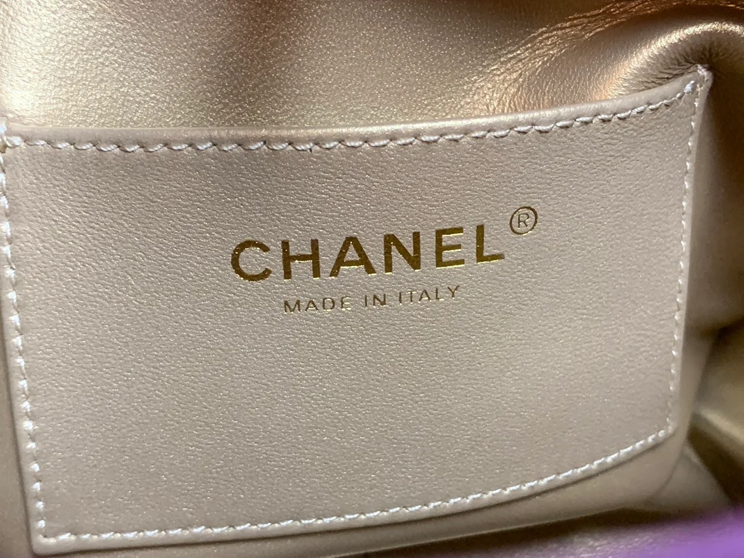 Chanel Hobo Handbag Purple Bag For Women 16cm/6in