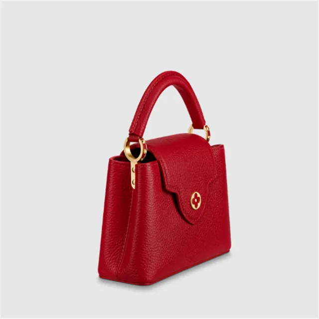 Capucines Mini M56845