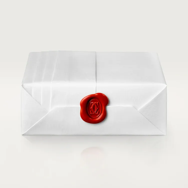 JUSTE UN CLOU NECKLACE