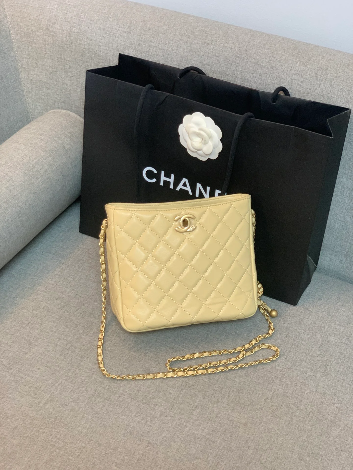Chanel Hobo Handbag Beige Bag For Women 16cm/6in
