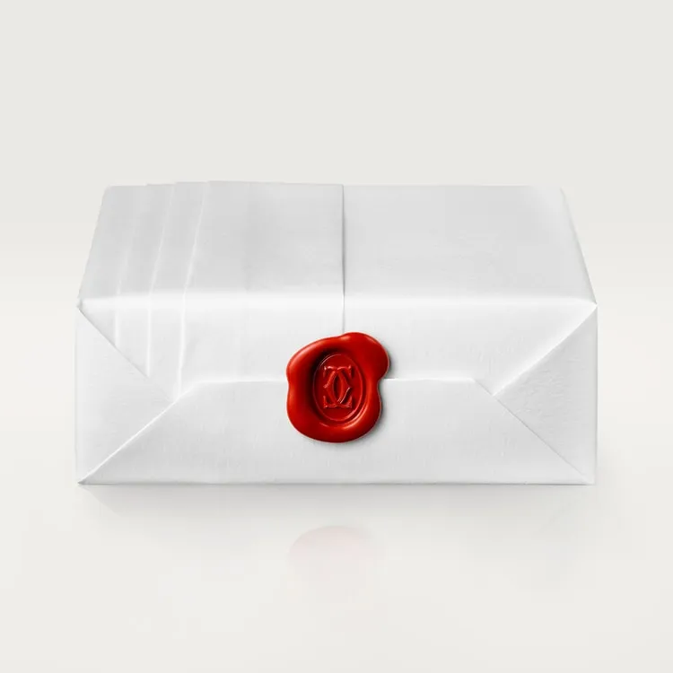 JUSTE UN CLOU NECKLACE