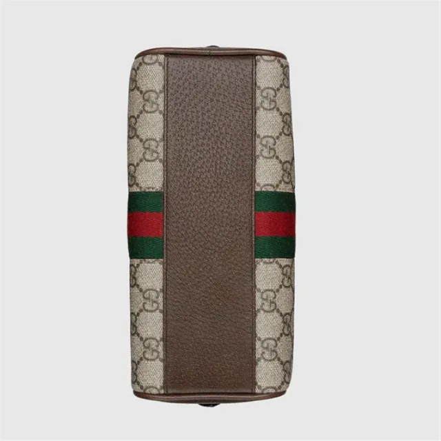 Ophidia mini G top handle bag