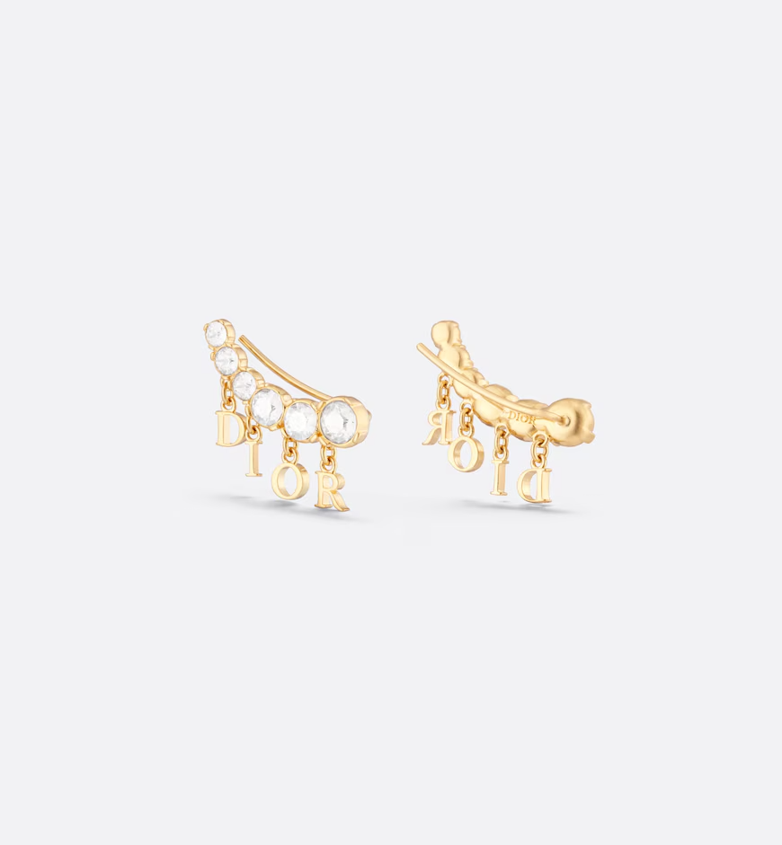 Evolution Earrings