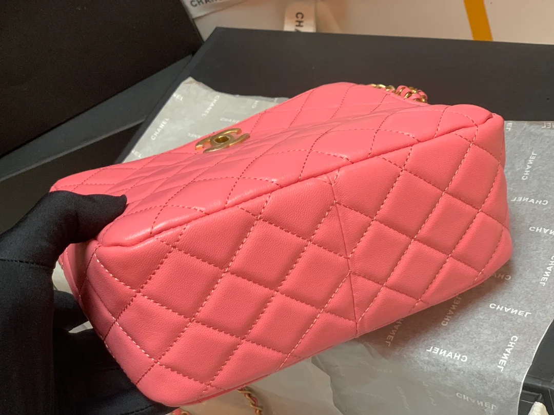 Chanel Hobo Handbag Pink Bag For Women 16cm/6in