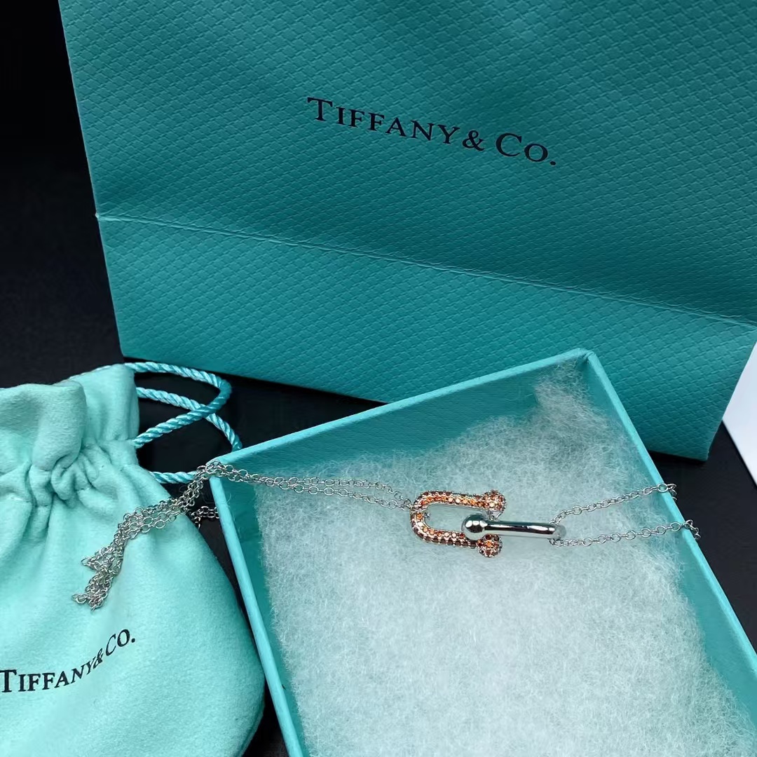 Tiffany Large Double Link Pendant Necklace - Best Replica Jewelry™