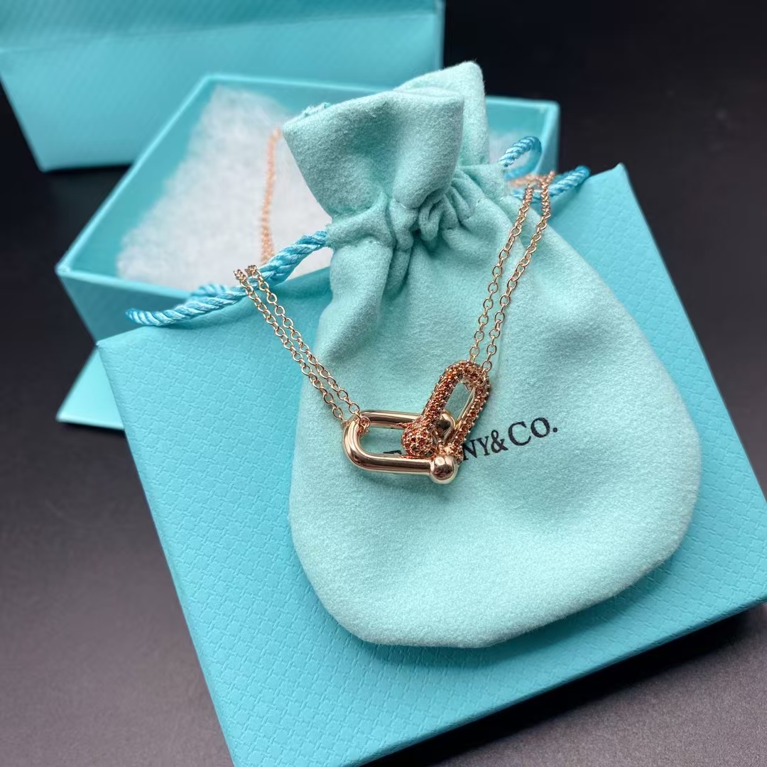 Tiffany Large Double Link Pendant Necklace - Best Replica Jewelry™