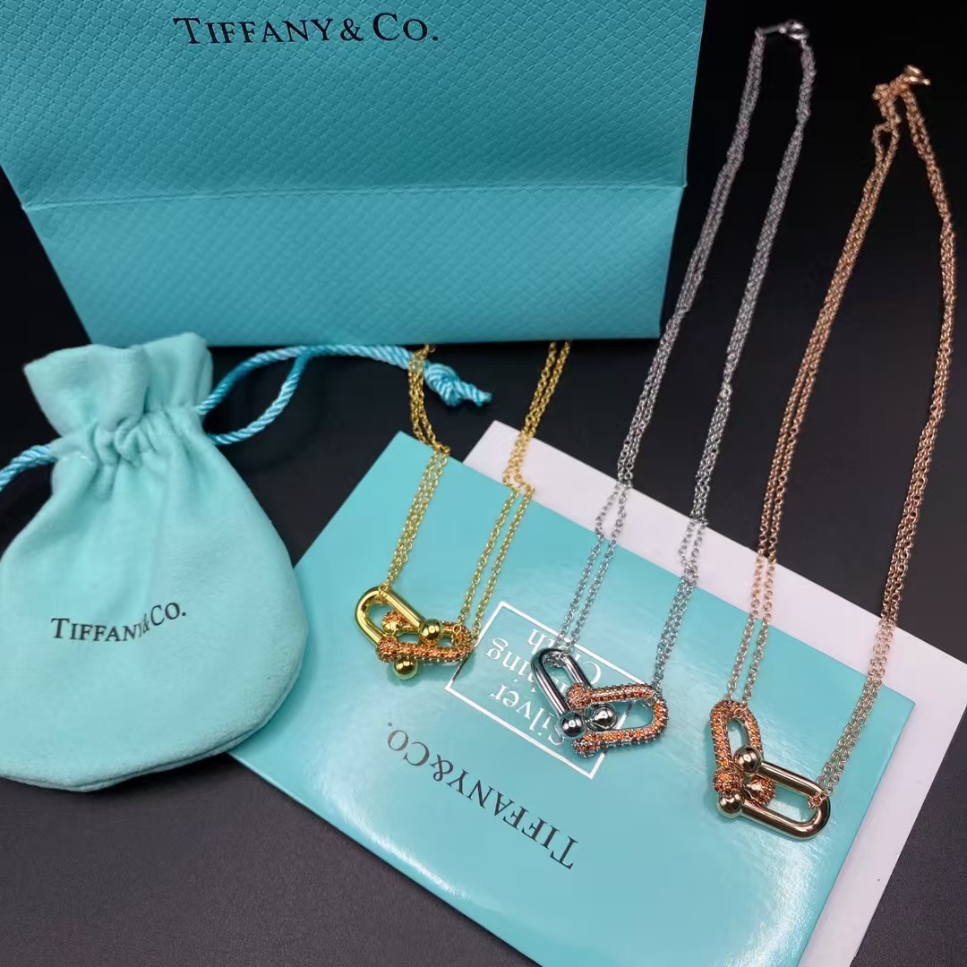 Tiffany Large Double Link Pendant Necklace - Best Replica Jewelry™