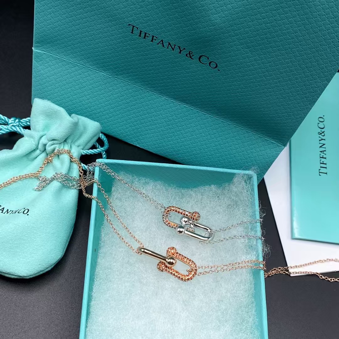 Tiffany Large Double Link Pendant Necklace - Best Replica Jewelry™