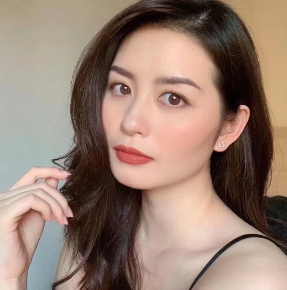 Dior Classic Diamond Paved CD Stud Earrings - Best Replica Jewelry™