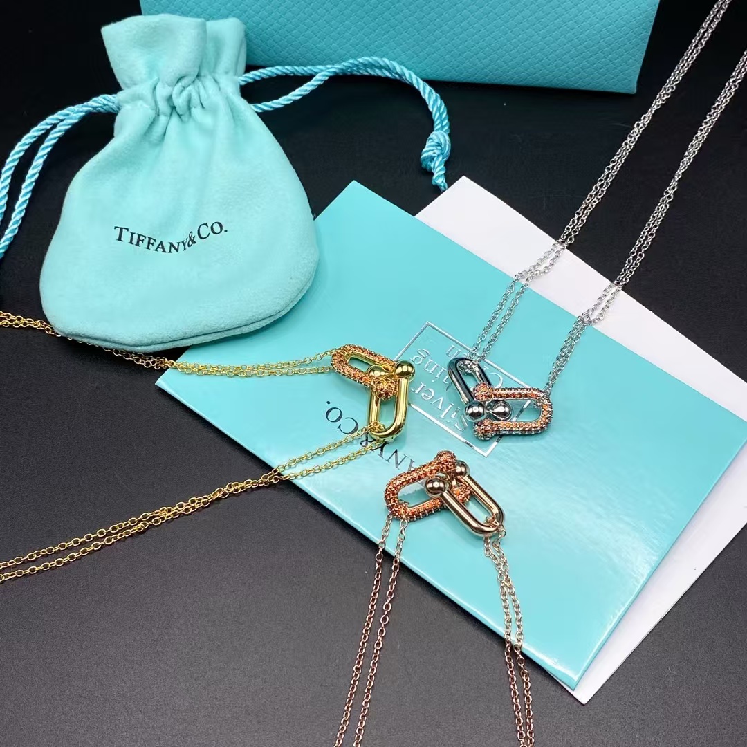 Tiffany Large Double Link Pendant Necklace - Best Replica Jewelry™