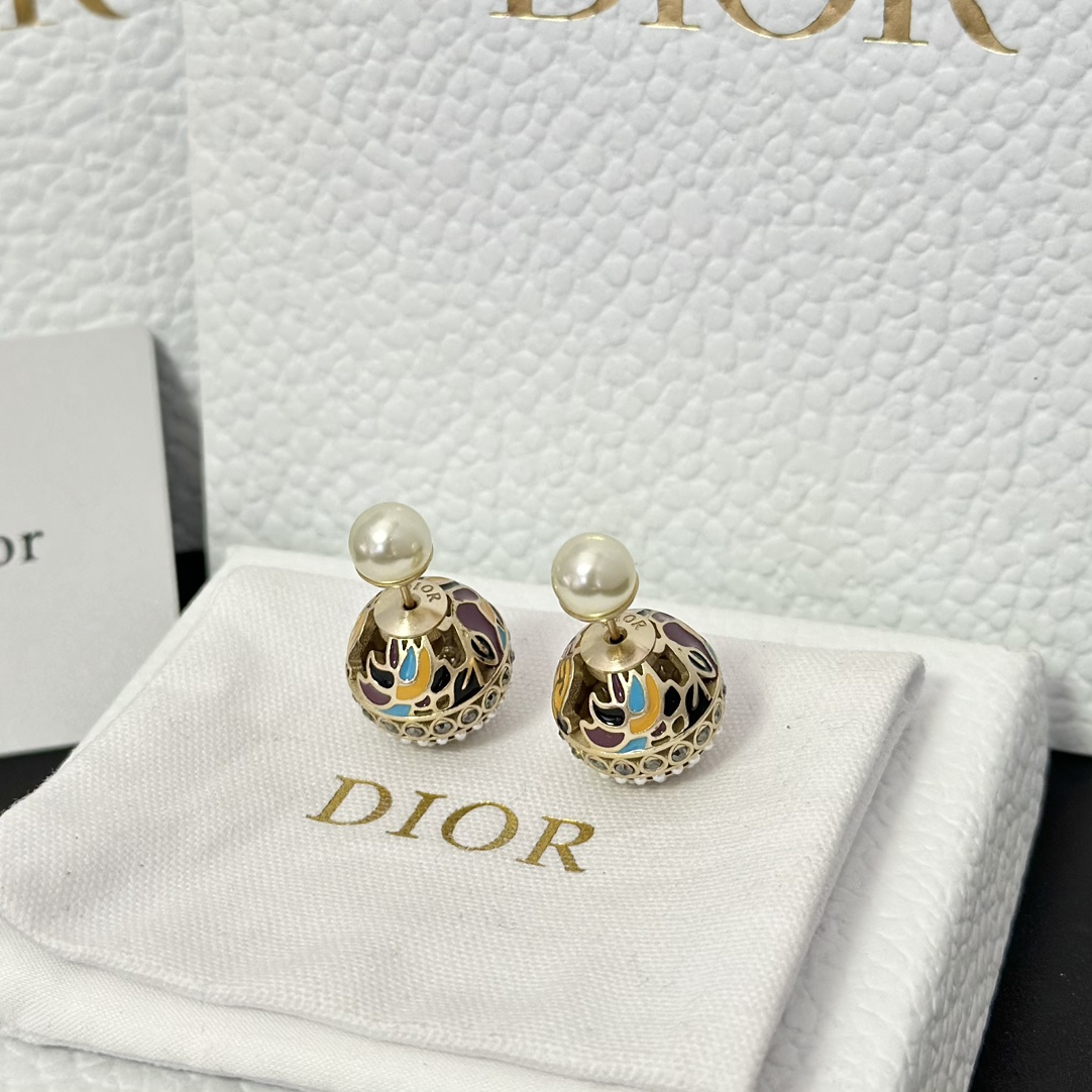 Dior Enamel Earrings - Best Replica Jewelry™