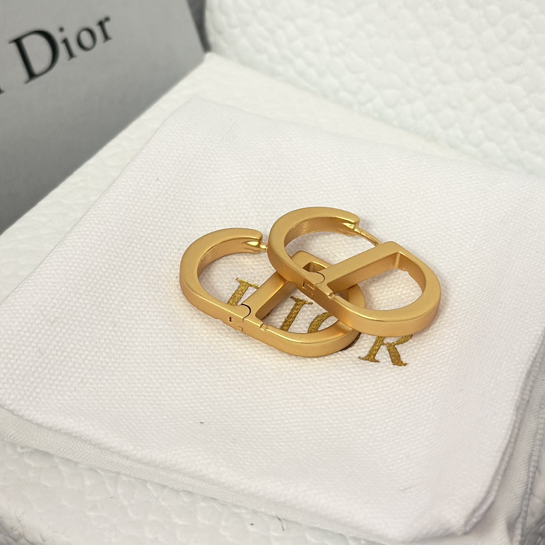 Dior Minimalistic CD Stud Earrings - Best Replica Jewelry™