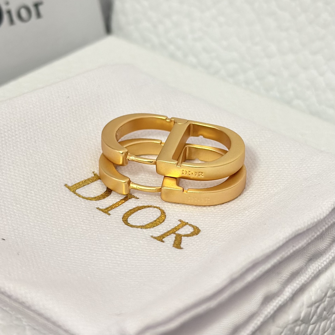 Dior Minimalistic CD Stud Earrings - Best Replica Jewelry™