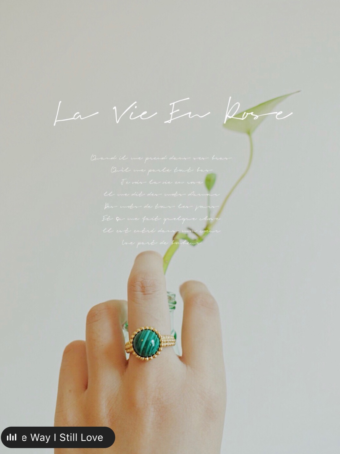 VCA Yellow Gold Malachite Perlee Couleurs Ring - Best Replica Jewelry™