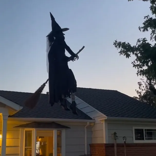 🔥Early Halloween Promotion 49% OFF🔥 - Flying Witch