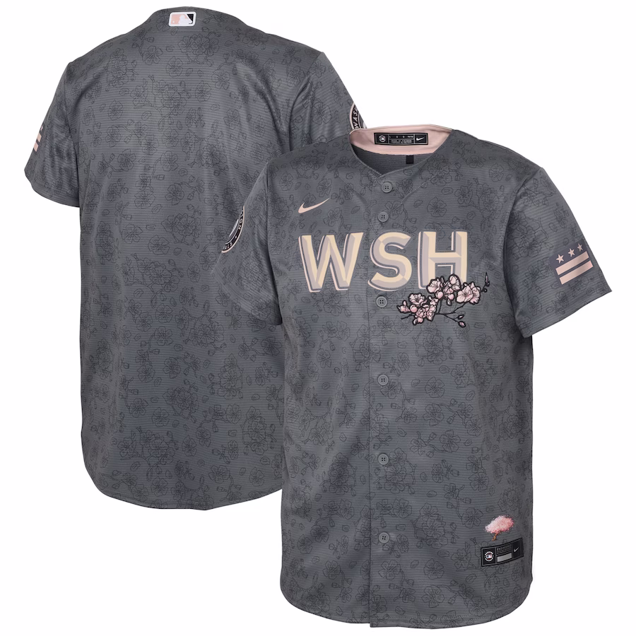 Preschool Washington Nationals Nike Gray City Connect Replica Jersey