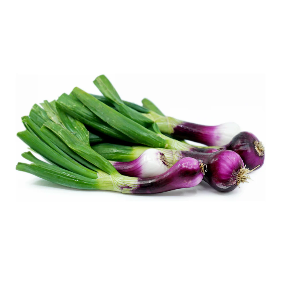 Spring Onion 6 pack - Red Fiamma