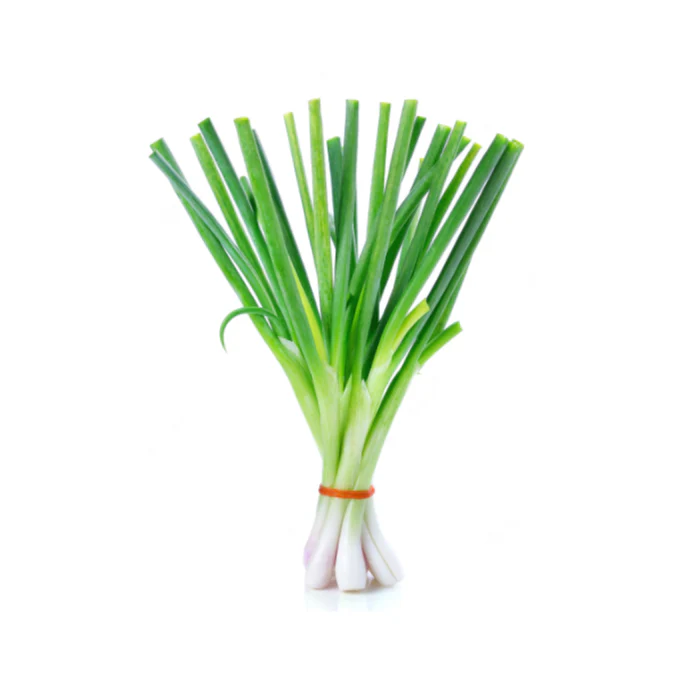 Spring Onion 6 pack - Slender