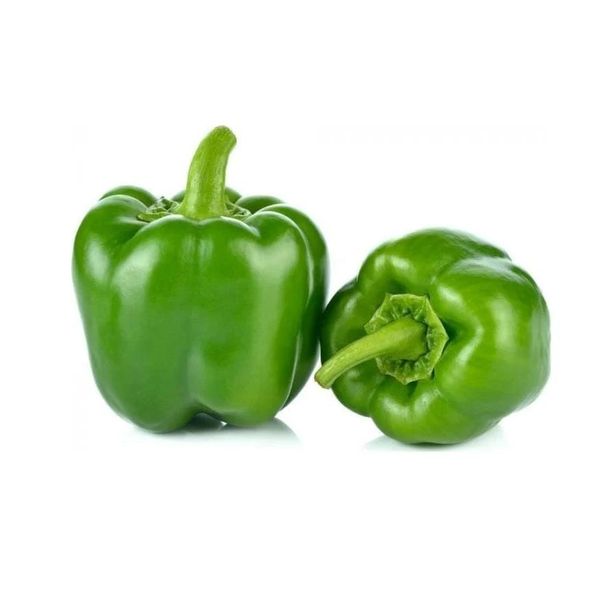 Green Pepper 6 pack