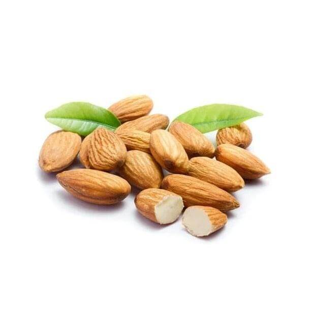 Almond Nut Tree - Nonpareil
