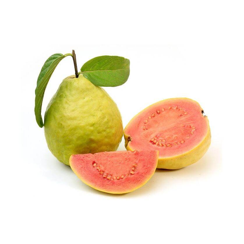 Guava Tree - Fan Retief