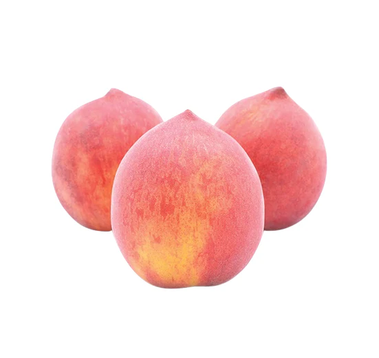 Peach Tree - San Pedro Loose pip
