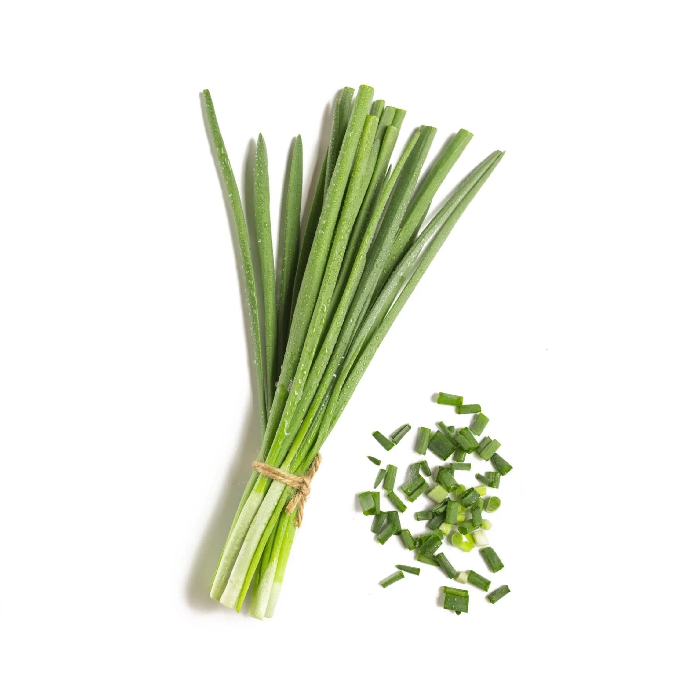 Chives 6 pack