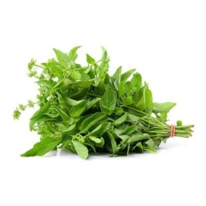 Lemon Basil 6 pack
