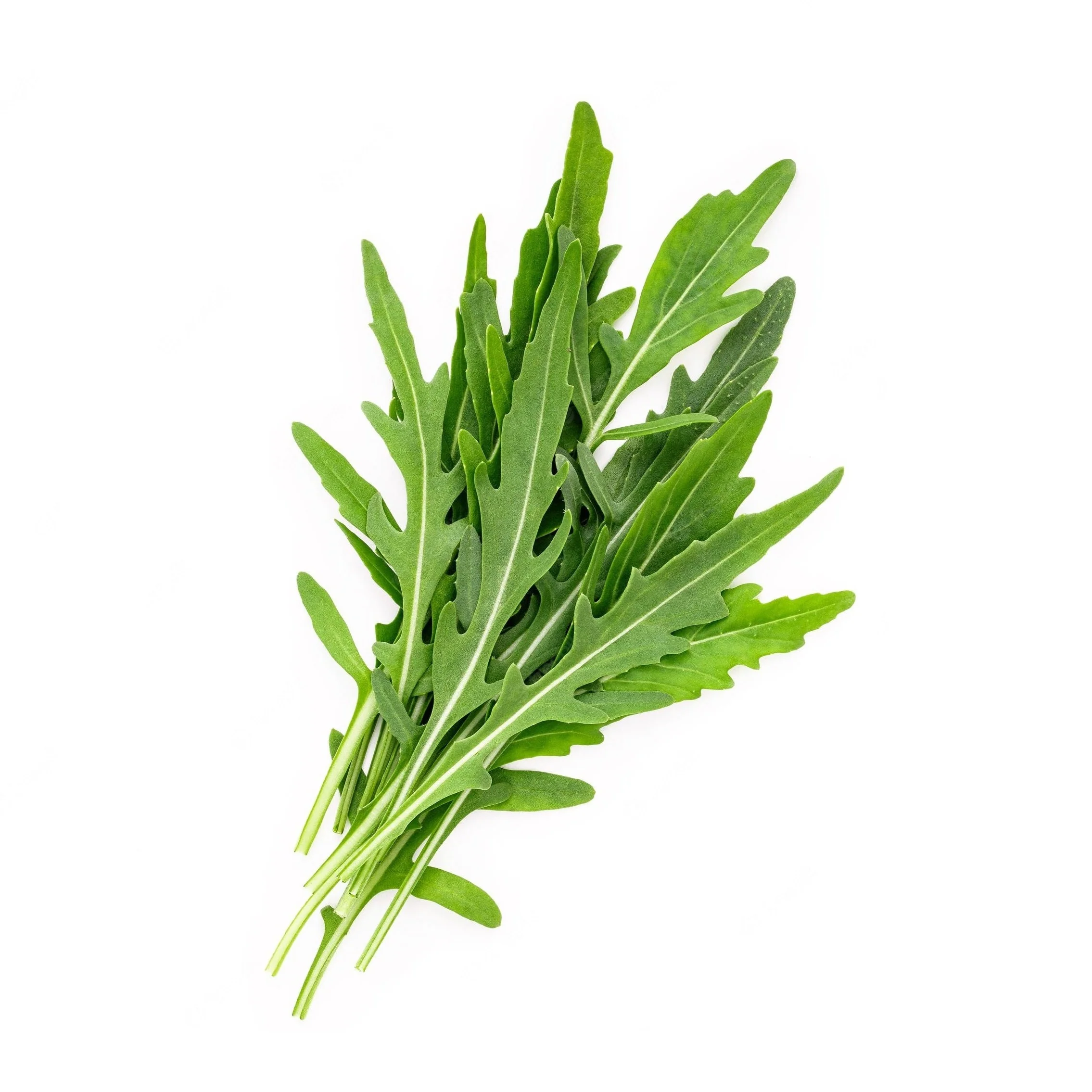 Rocket 6 pack - Cultivated