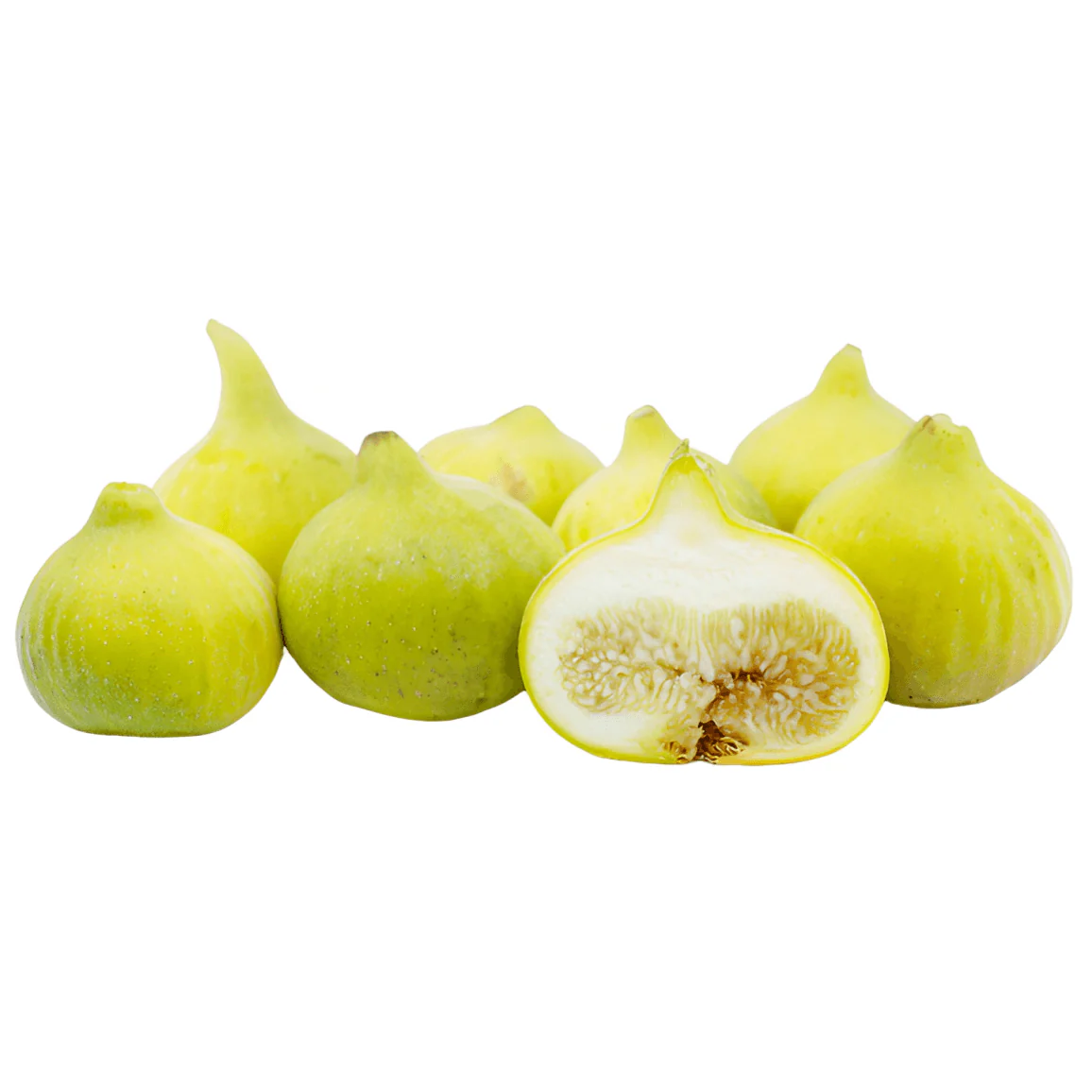 Fig Tree - Deanna