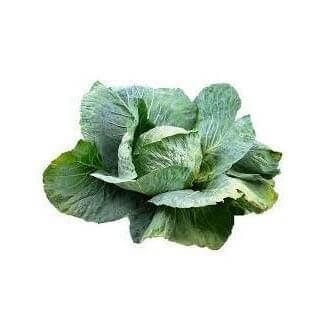 Cabbage 6 pack