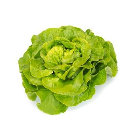 Lettuce 6 pack - Green Cos