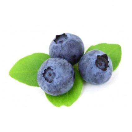 Blueberry Tree - SharpBlue