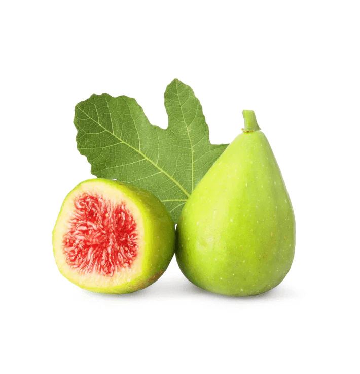 Fig Tree - King