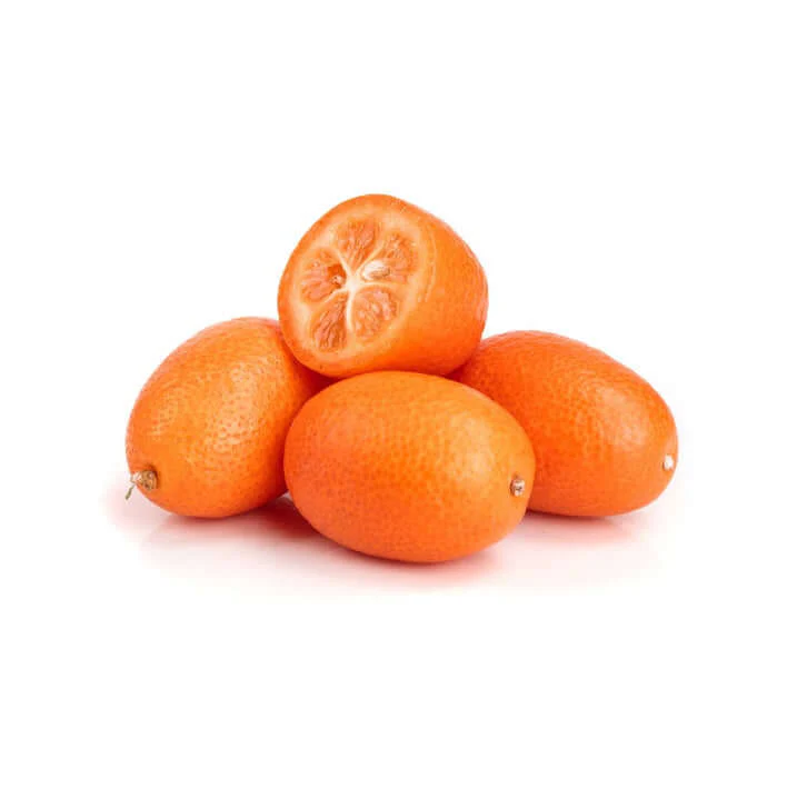 Kumquat Tree