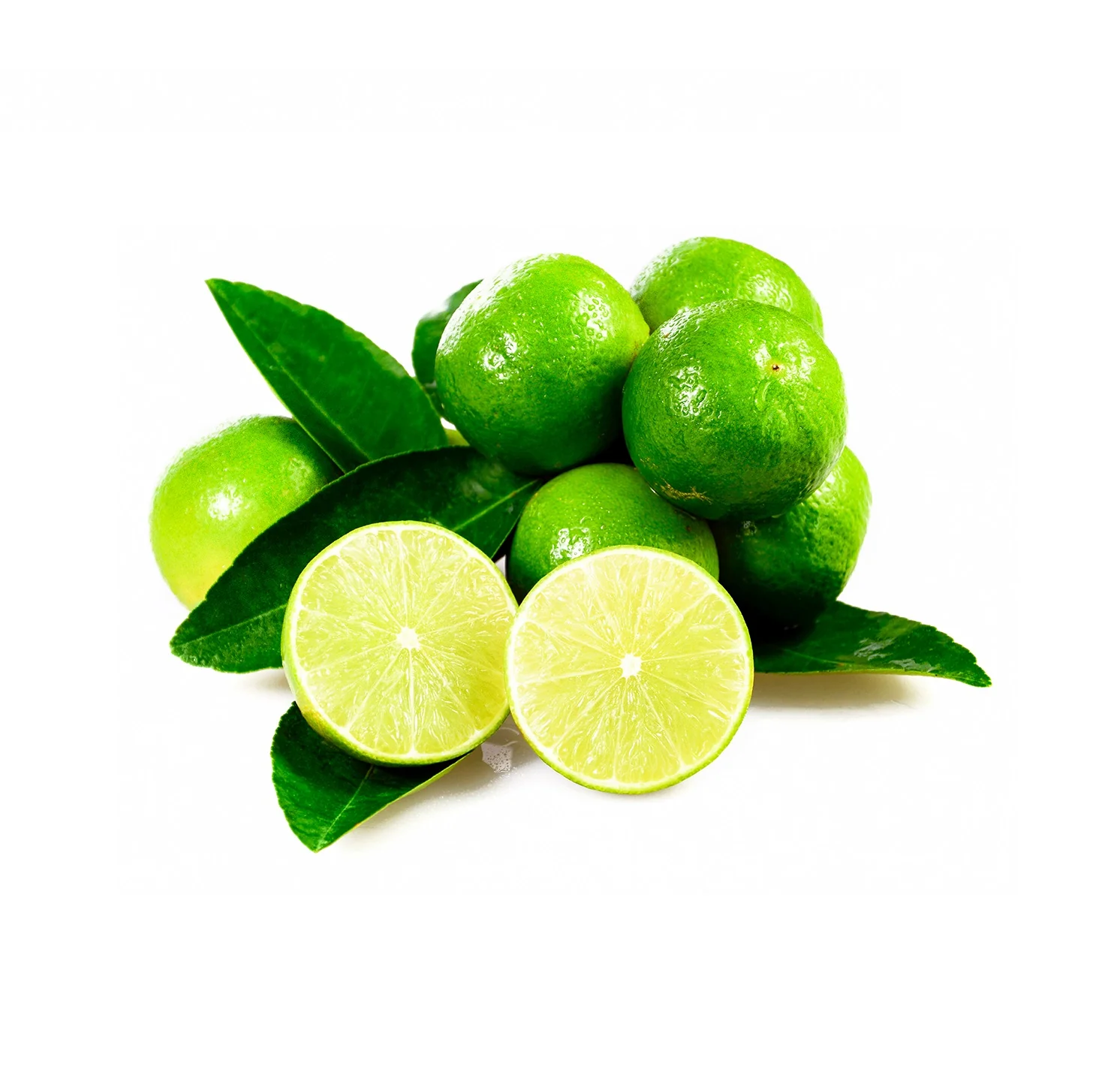 Lime Tree - Bearss